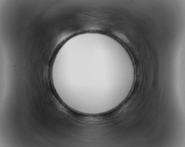 X0000086331404200704202032