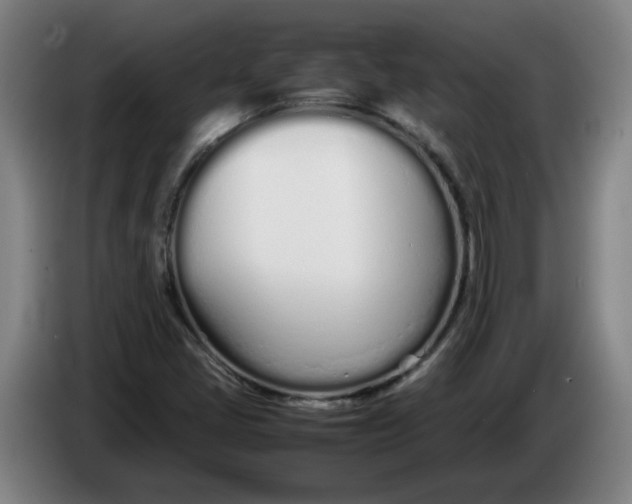 X0000086331405200704202032