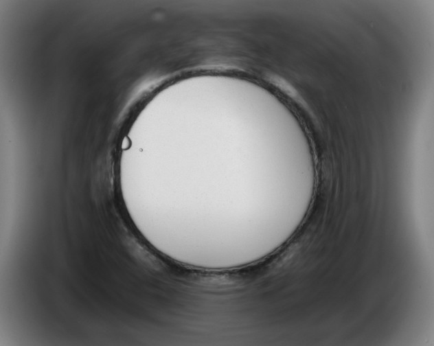 X0000086331408200704202032