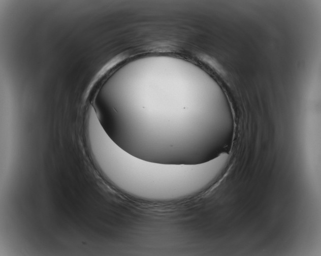 X0000086331410200704202032