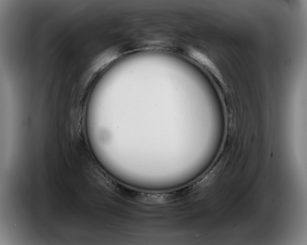 X0000086331411200704202032