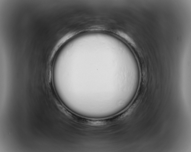 X0000086331413200704202032