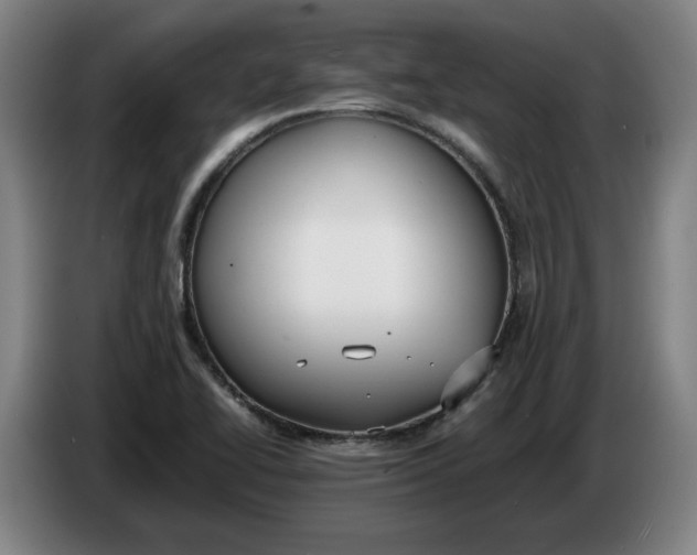 X0000086331414200704202032