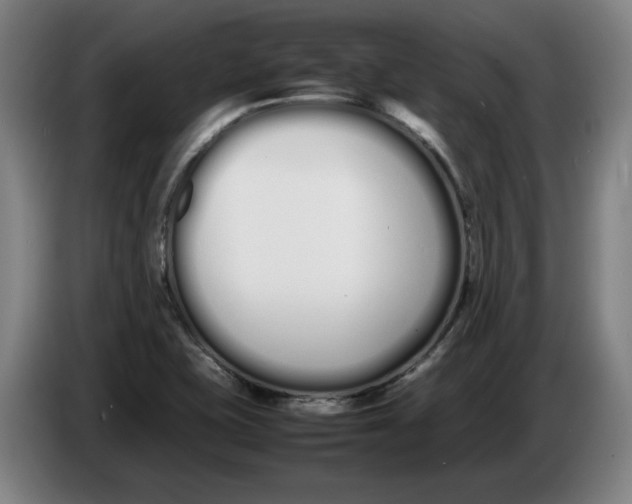 X0000086331415200704202032