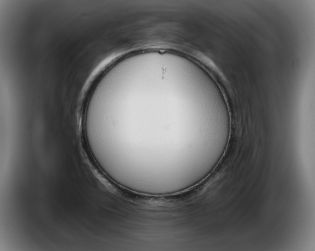 X0000086331416200704202032