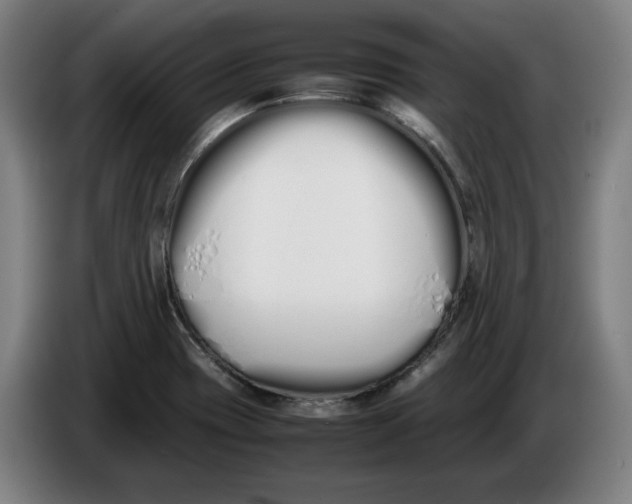 X0000086331417200704202032