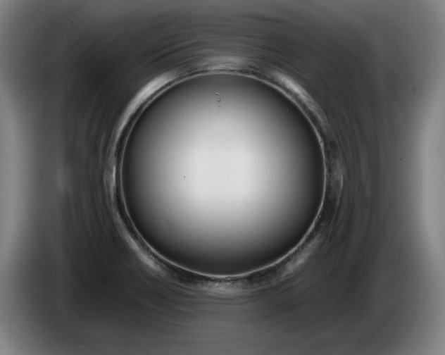 X0000086331418200704202032