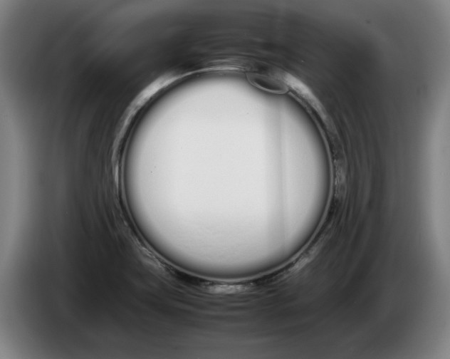 X0000086331419200704202032