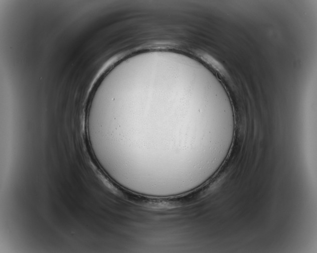 X0000086331420200704202032