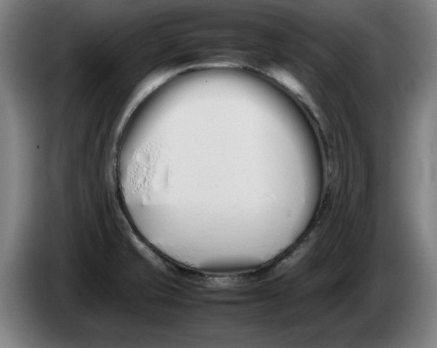 X0000086331421200704202032