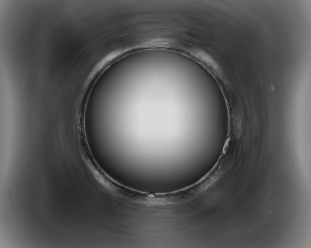 X0000086331422200704202032