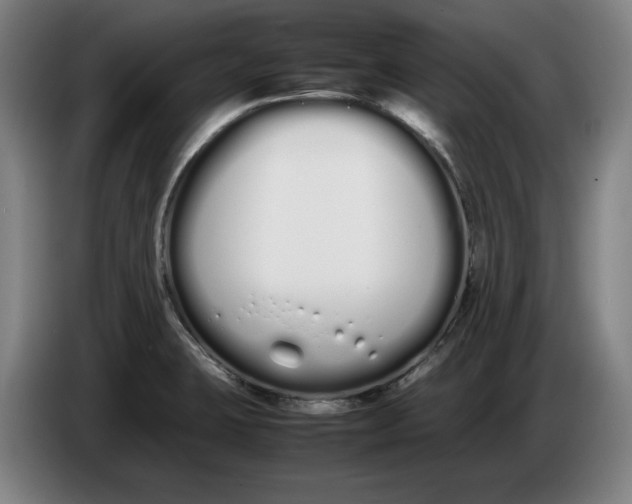 X0000086331423200704202032