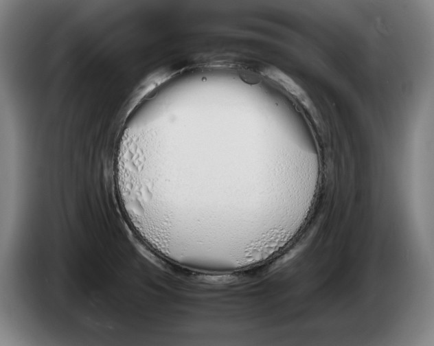 X0000086331425200704202032