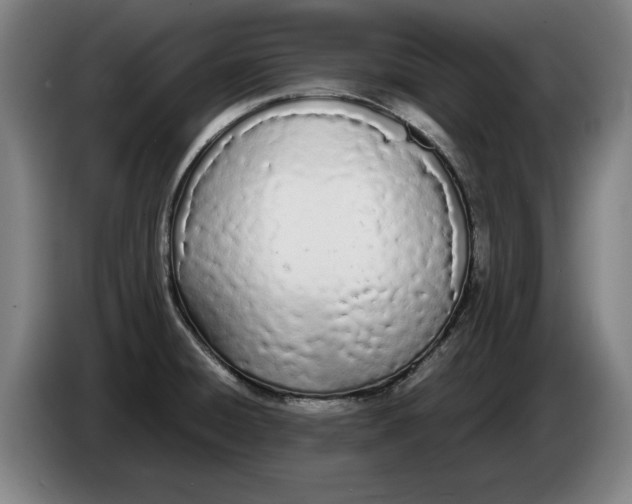 X0000086331428200704202033