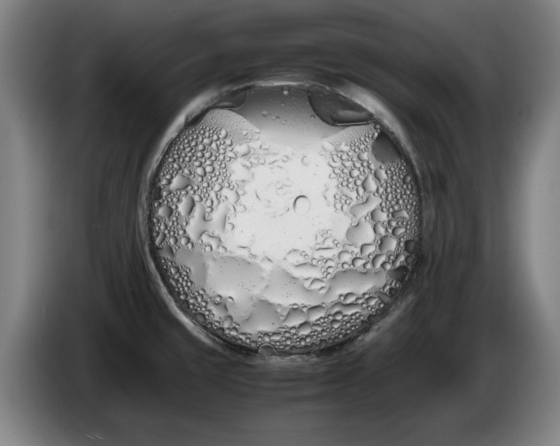 X0000086331429200704202033