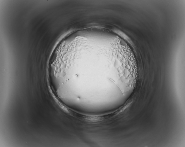 X0000086331431200704202033