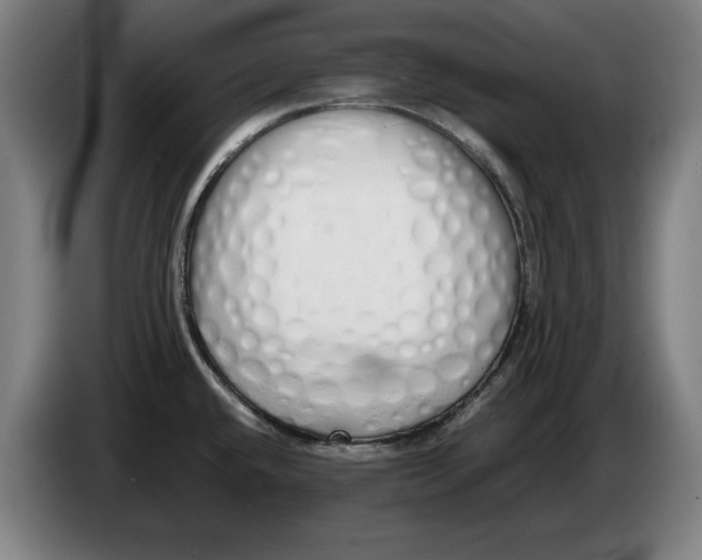 X0000086331432200704202033