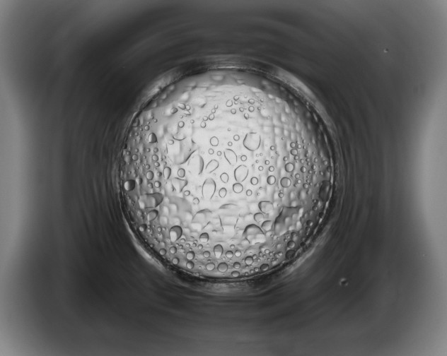 X0000086331433200704202033