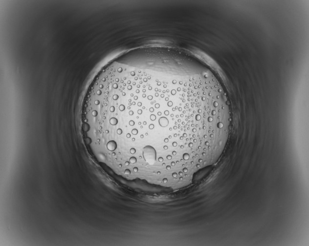 X0000086331435200704202033