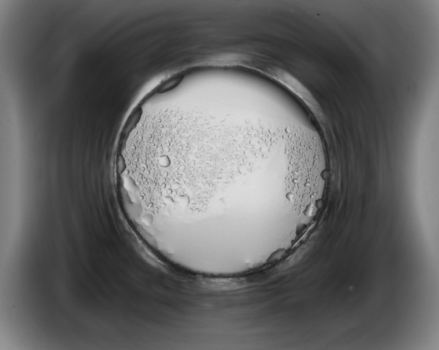 X0000086331436200704202033