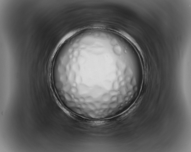 X0000086331437200704202033