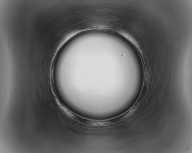 X0000086331439200704202033