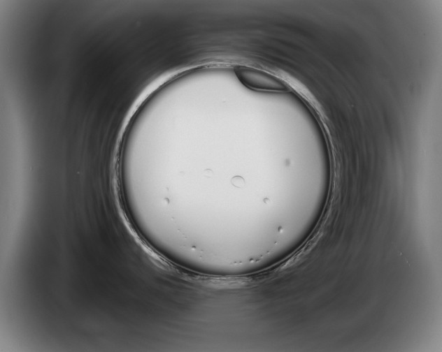 X0000086331440200704202033