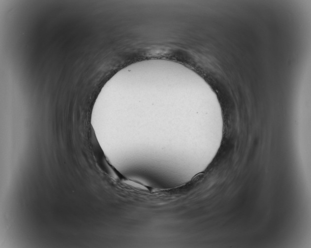 X0000086331441200704202032