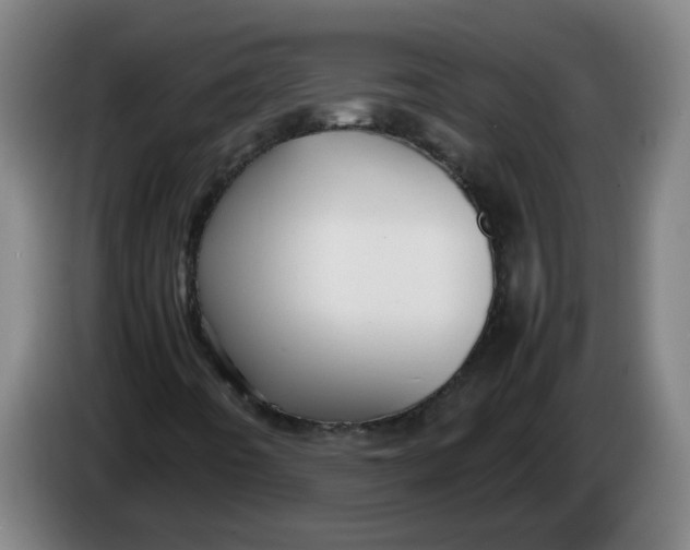 X0000086331442200704202032