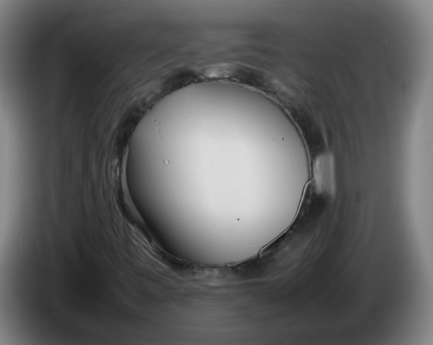 X0000086331443200704202032