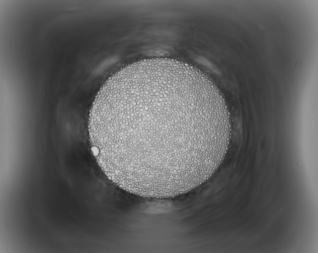 X0000086331446200704202032