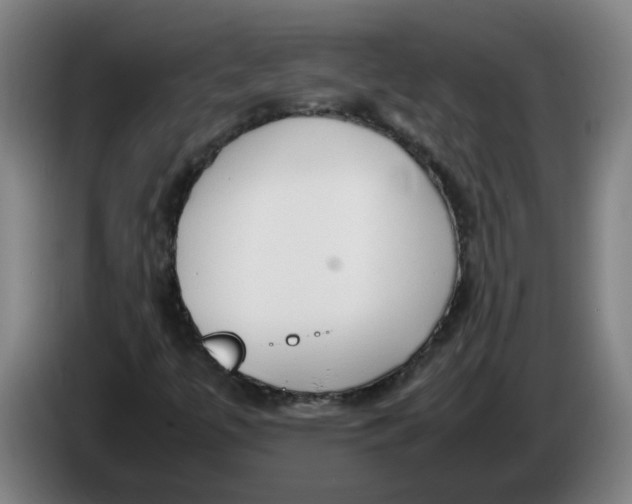 X0000086331447200704202032