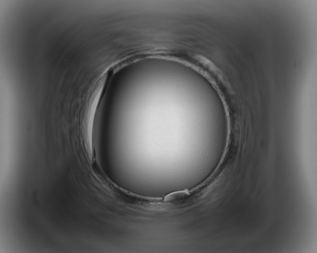 X0000086331449200704202032