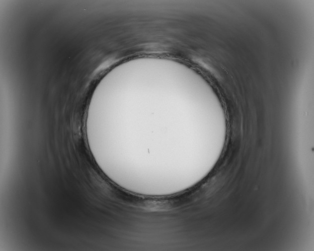 X0000086331451200704202032