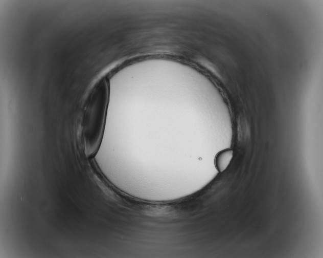 X0000086331452200704202032