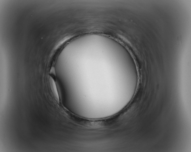 X0000086331453200704202032