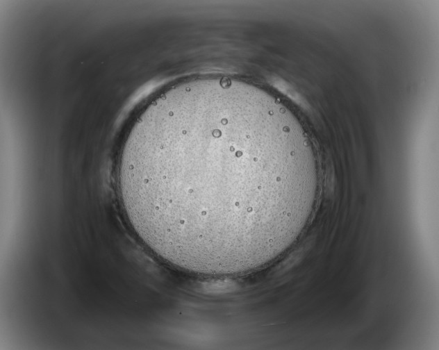 X0000086331454200704202032