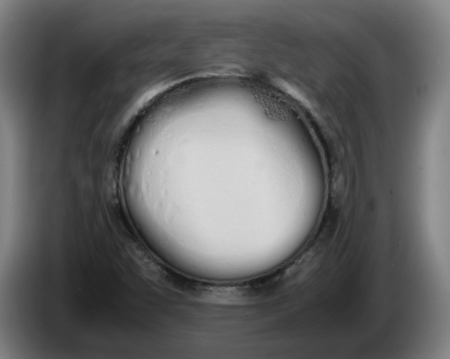 X0000086331455200704202032