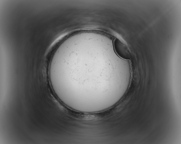 X0000086331456200704202032