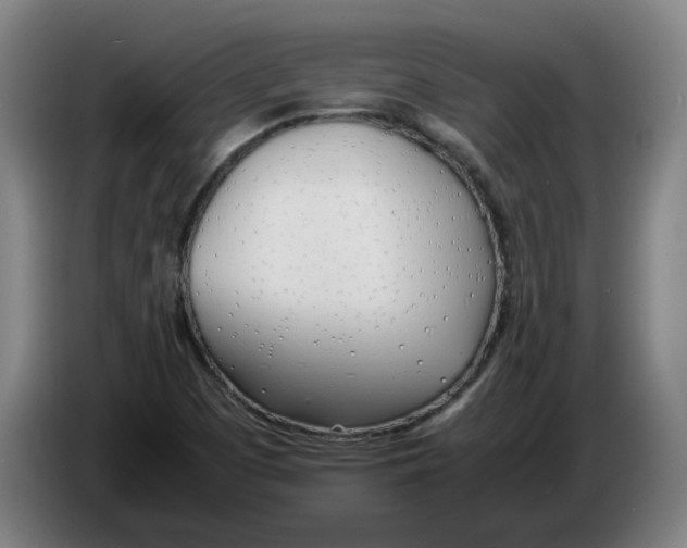 X0000086331457200704202032