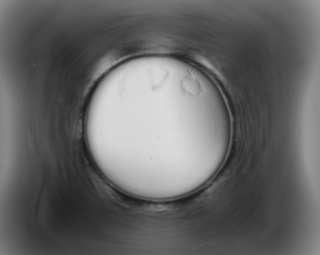 X0000086331459200704202032