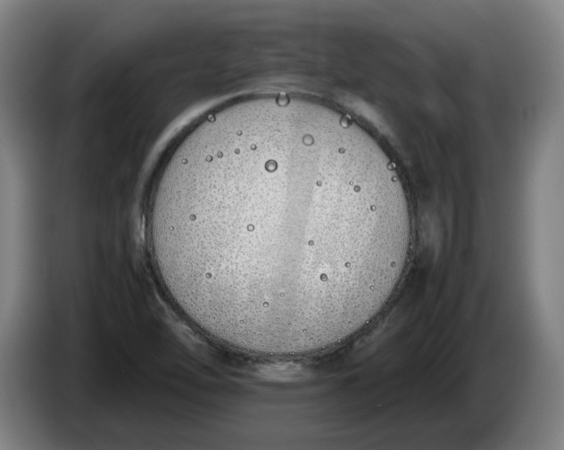 X0000086331462200704202032