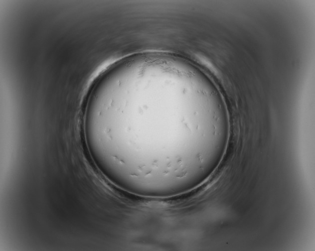 X0000086331463200704202032