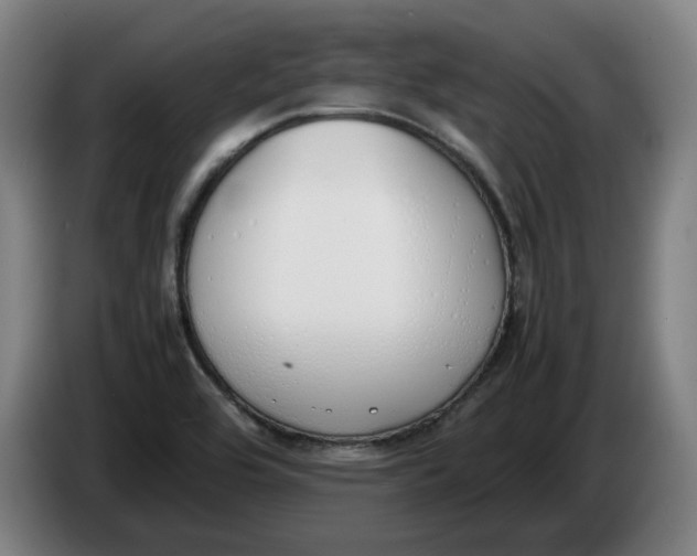 X0000086331464200704202032