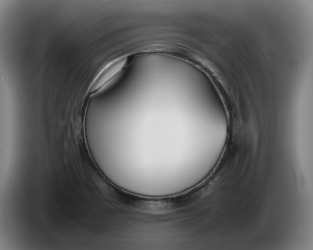 X0000086331465200704202032