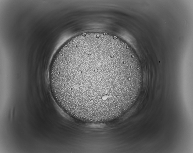 X0000086331466200704202032