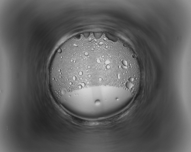 X0000086331467200704202032