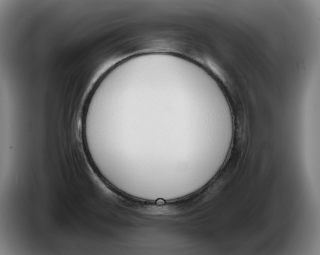 X0000086331468200704202032