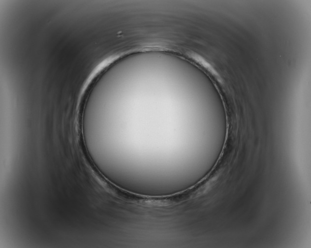 X0000086331469200704202032