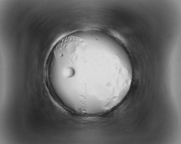 X0000086331471200704202032